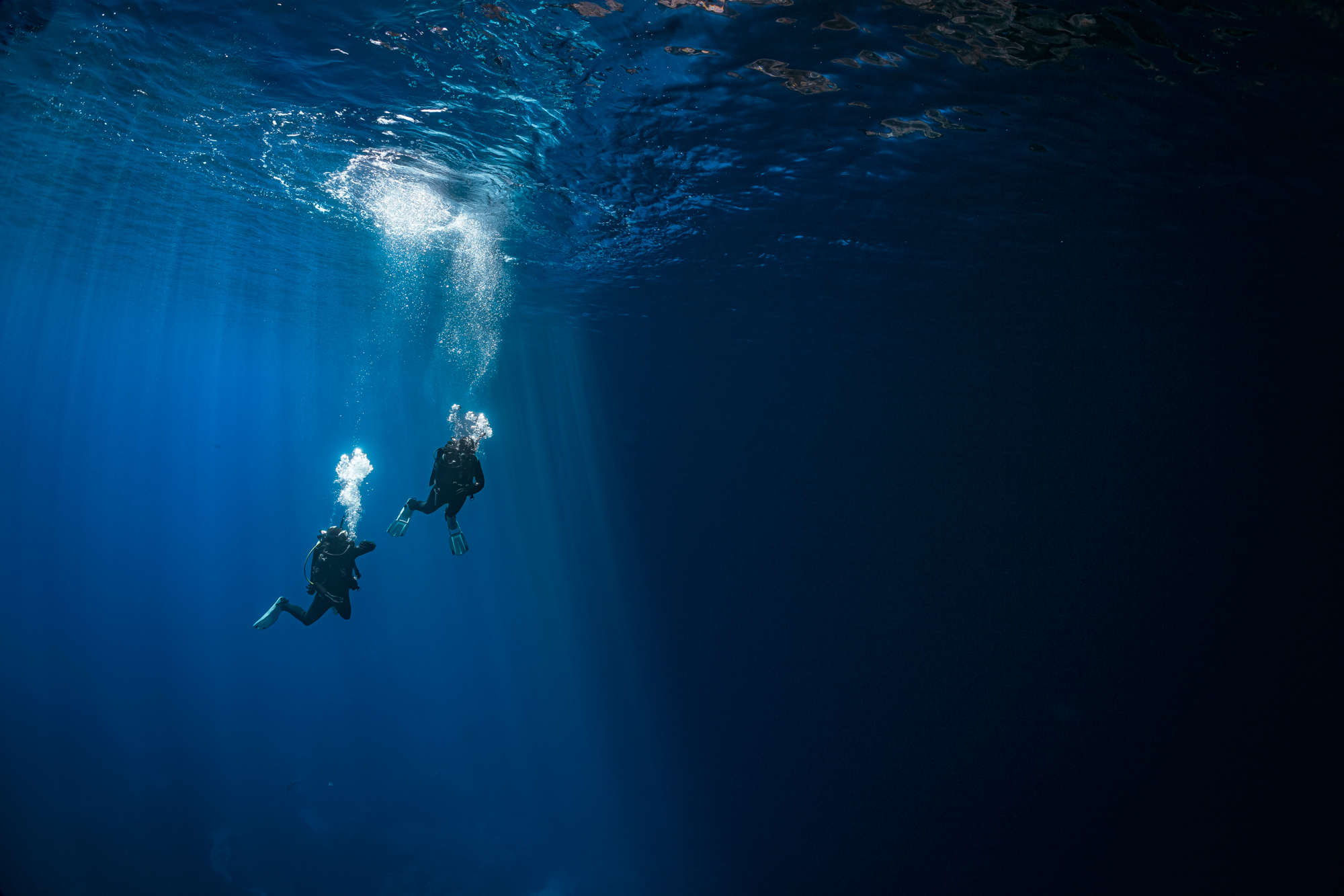 A night dive