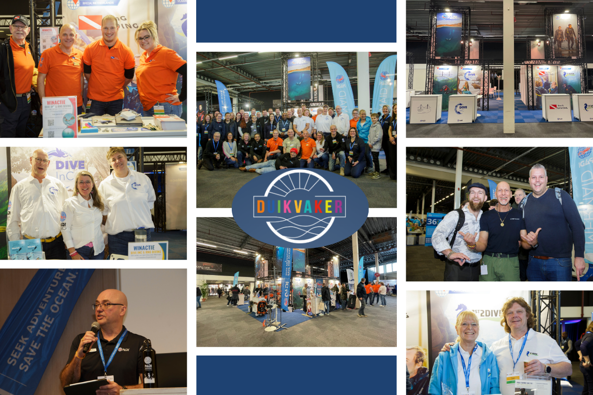 Collage voor de Duikvaker Duikshow 2026