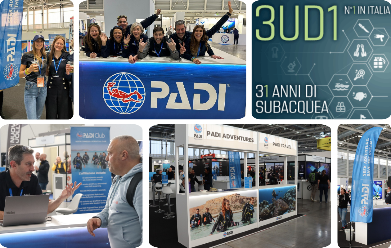 Collage voor de EUDI Duikshow 2026