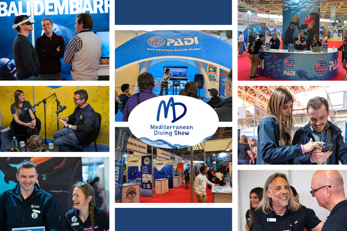 Collage voor de Med Show 2026