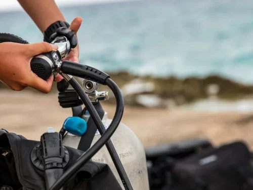 a diver inspects his dive gear prior to a dive