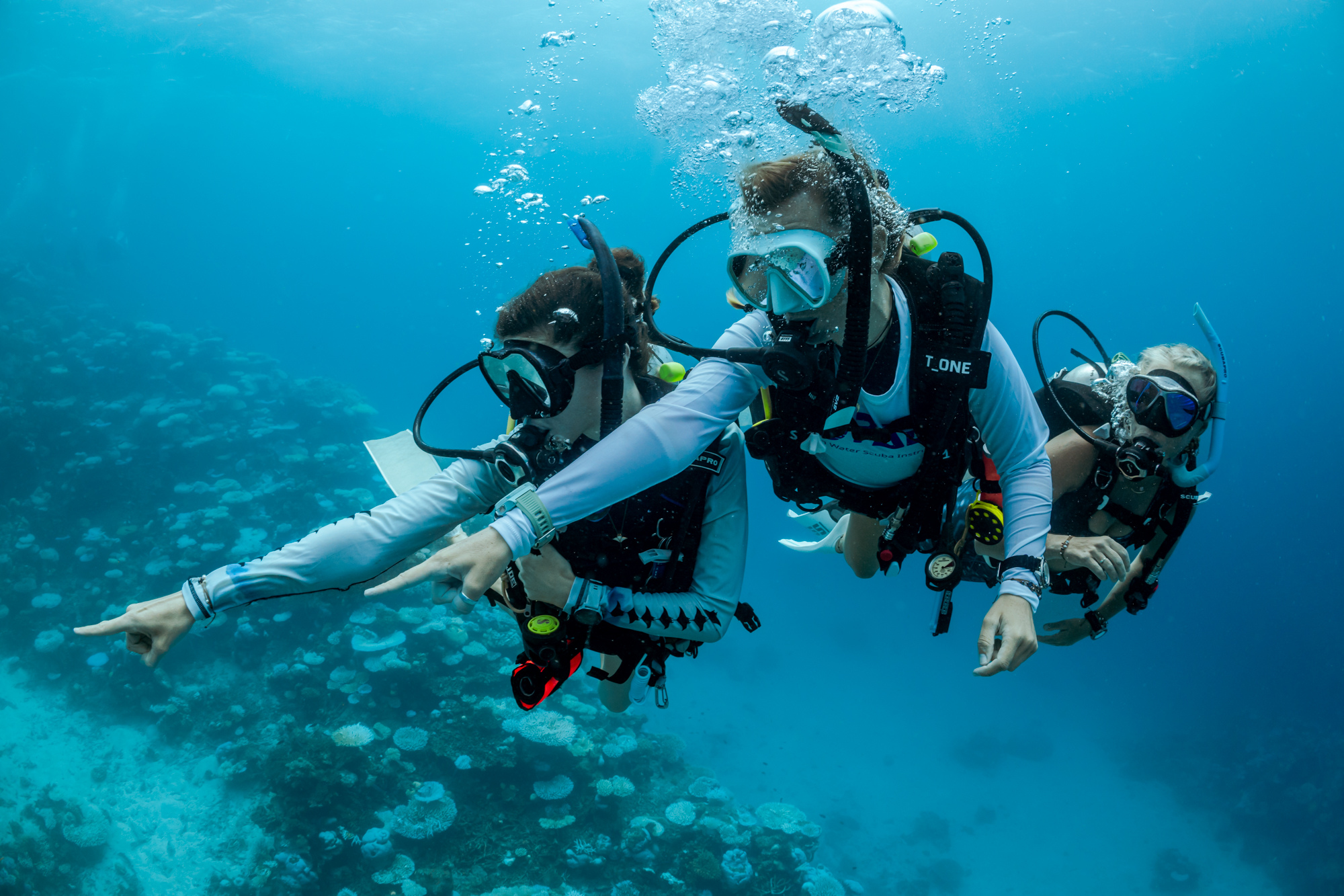 two divers pointing