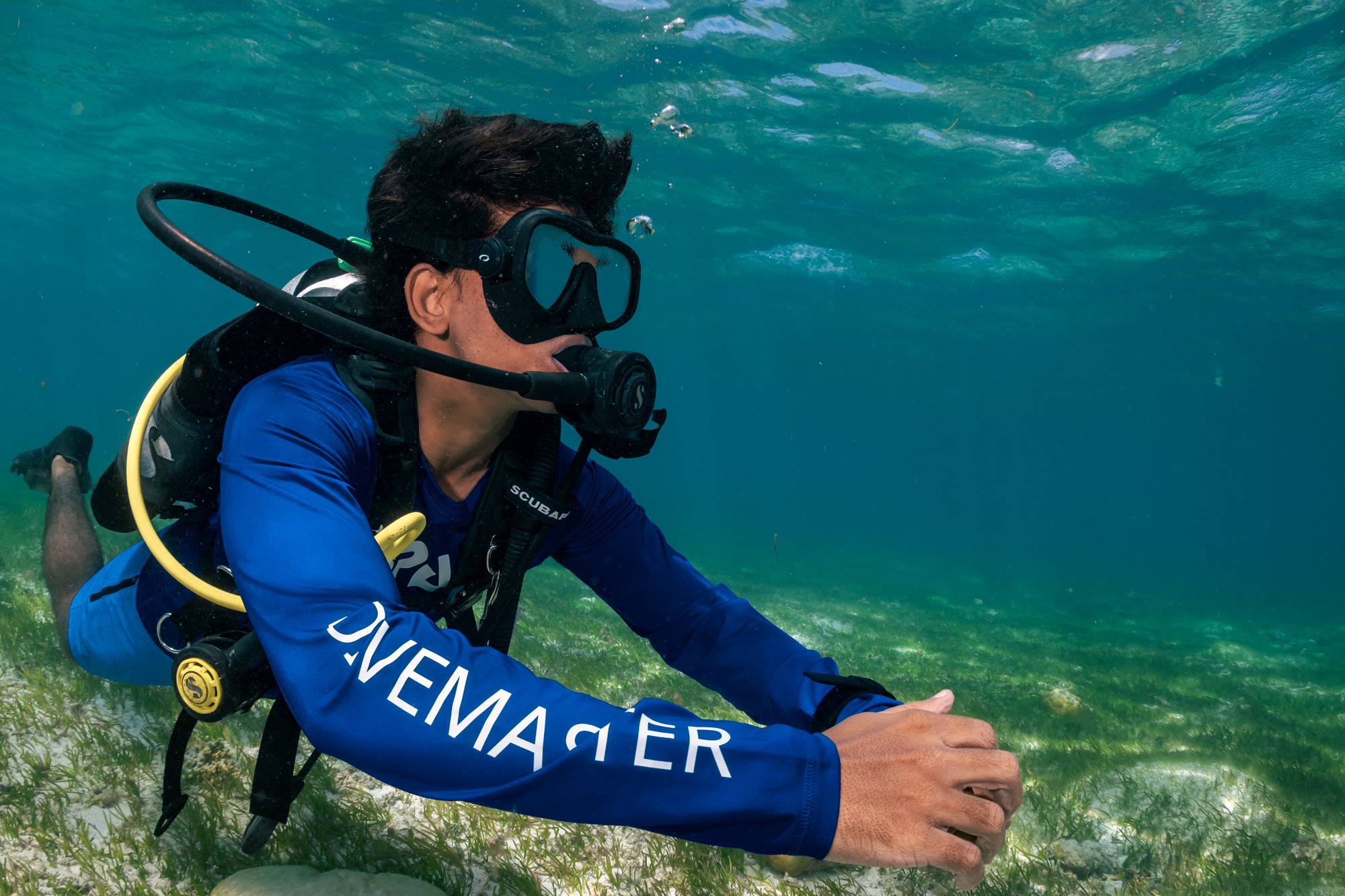 koh tao divemaster destination one diver swimming