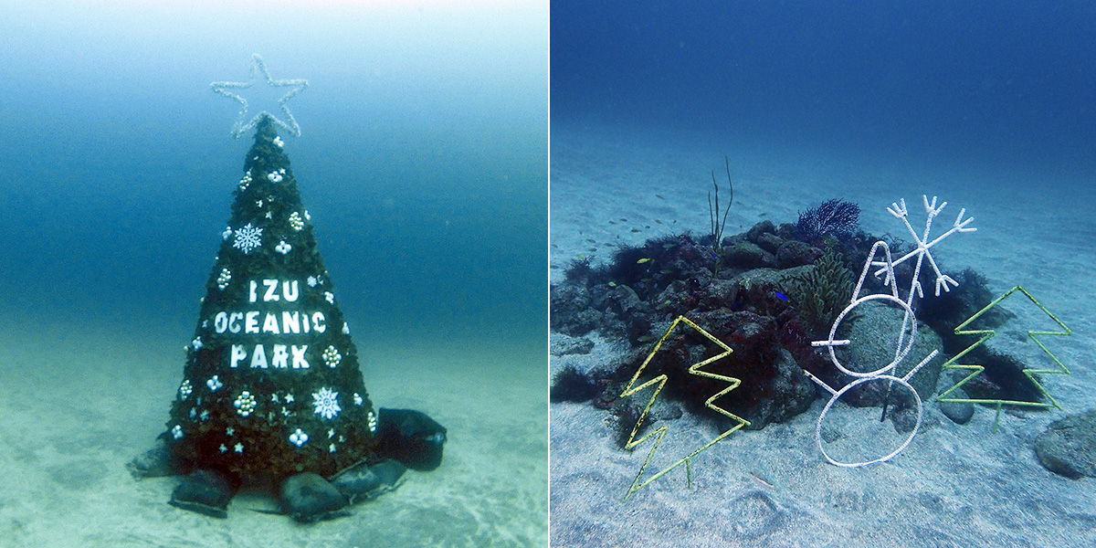 Christmas Tree and decoration underwater