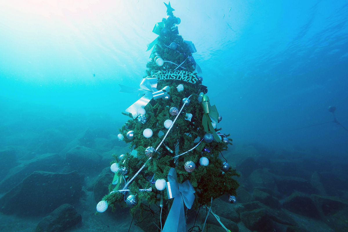 underwater Chirstmas tree 