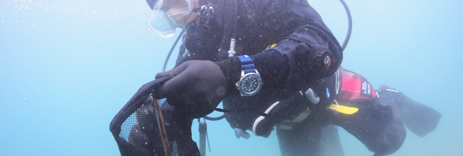 第5回 SEIKOｘPADI AWARE 水中とビーチのクリーンナップを実施しました！