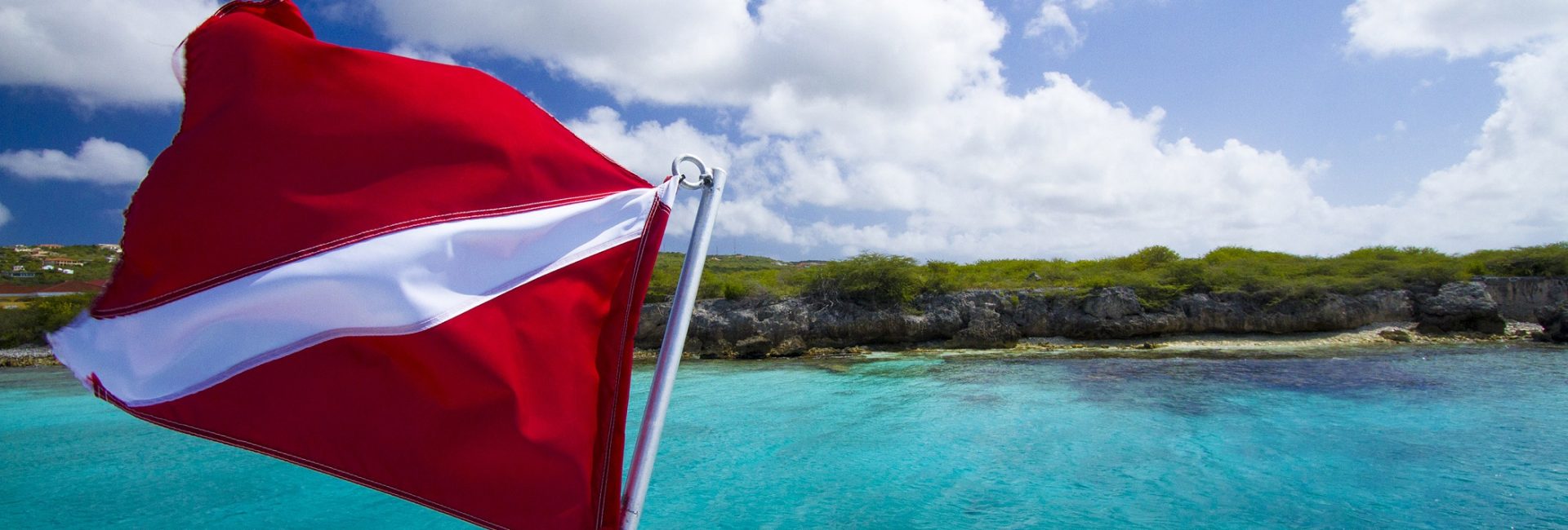The Best Time of Year To Dive in Bonaire