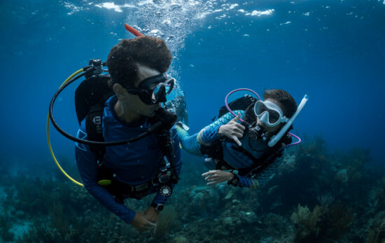 two divers communicating underwater padi