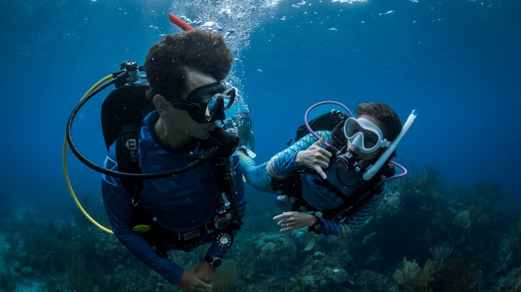 two divers communicating underwater padi