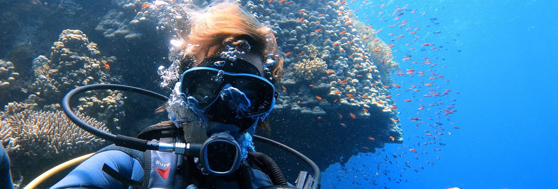 在海浪之下找尋力量：我成為 PADI 教練的歷程