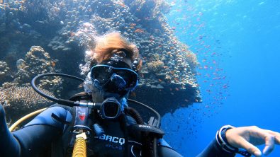 Monica Wisona diving