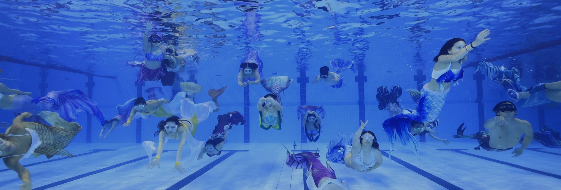 『PADI マーメイドフェス2025』未経験OK、憧れのマーメイドになろう！