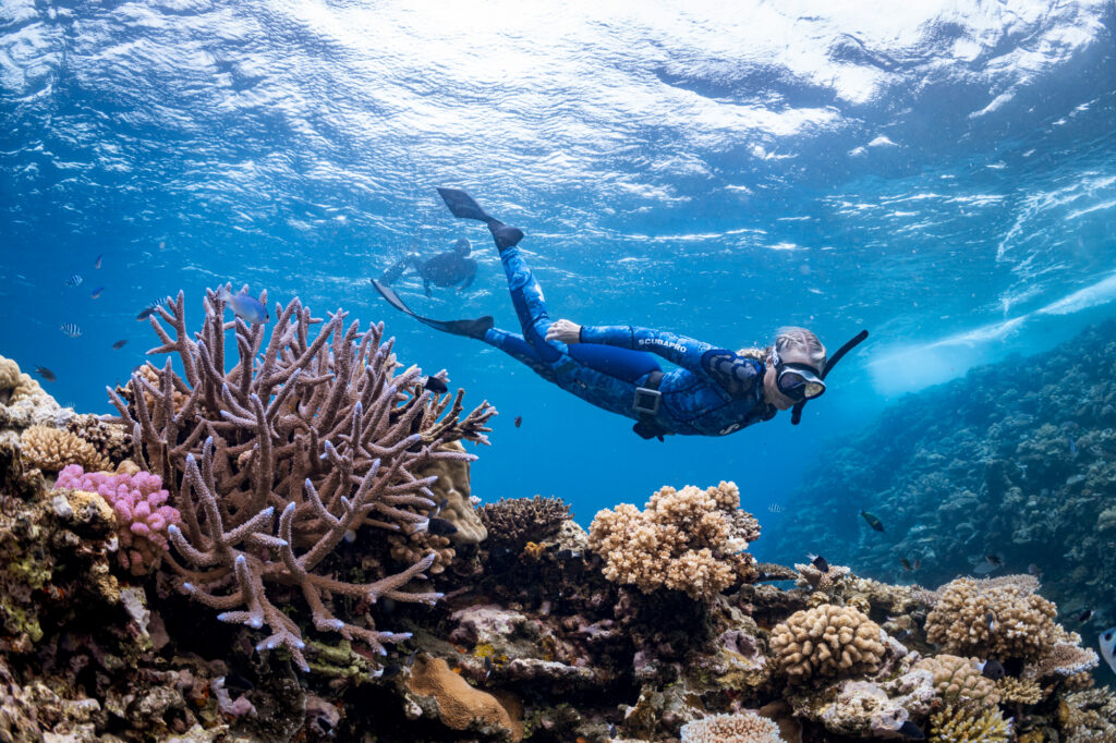 A snorkeler swims above a colorful coral reef in Fiji