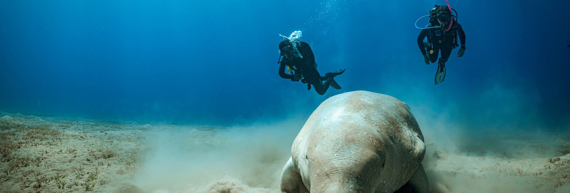 How To Convince Your Parents To Try Scuba Diving