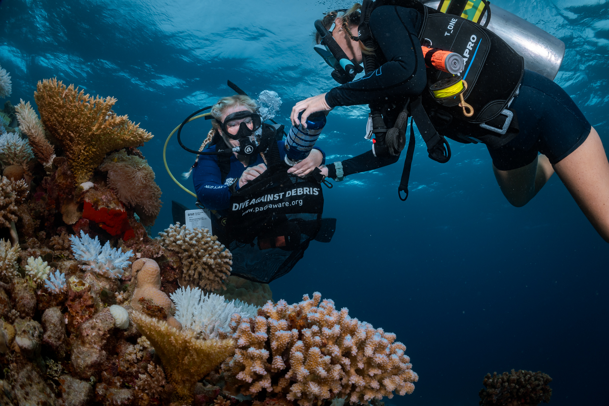 two divers collect debris underwater