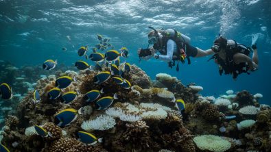 two divers explore a coral reef in the Maldives