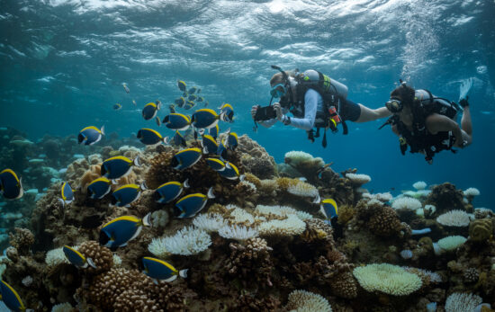 two divers explore a coral reef in the Maldives