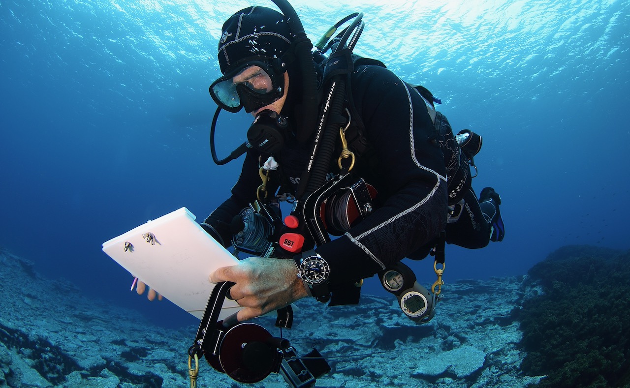 A man takes a study of coral health while scuba diving