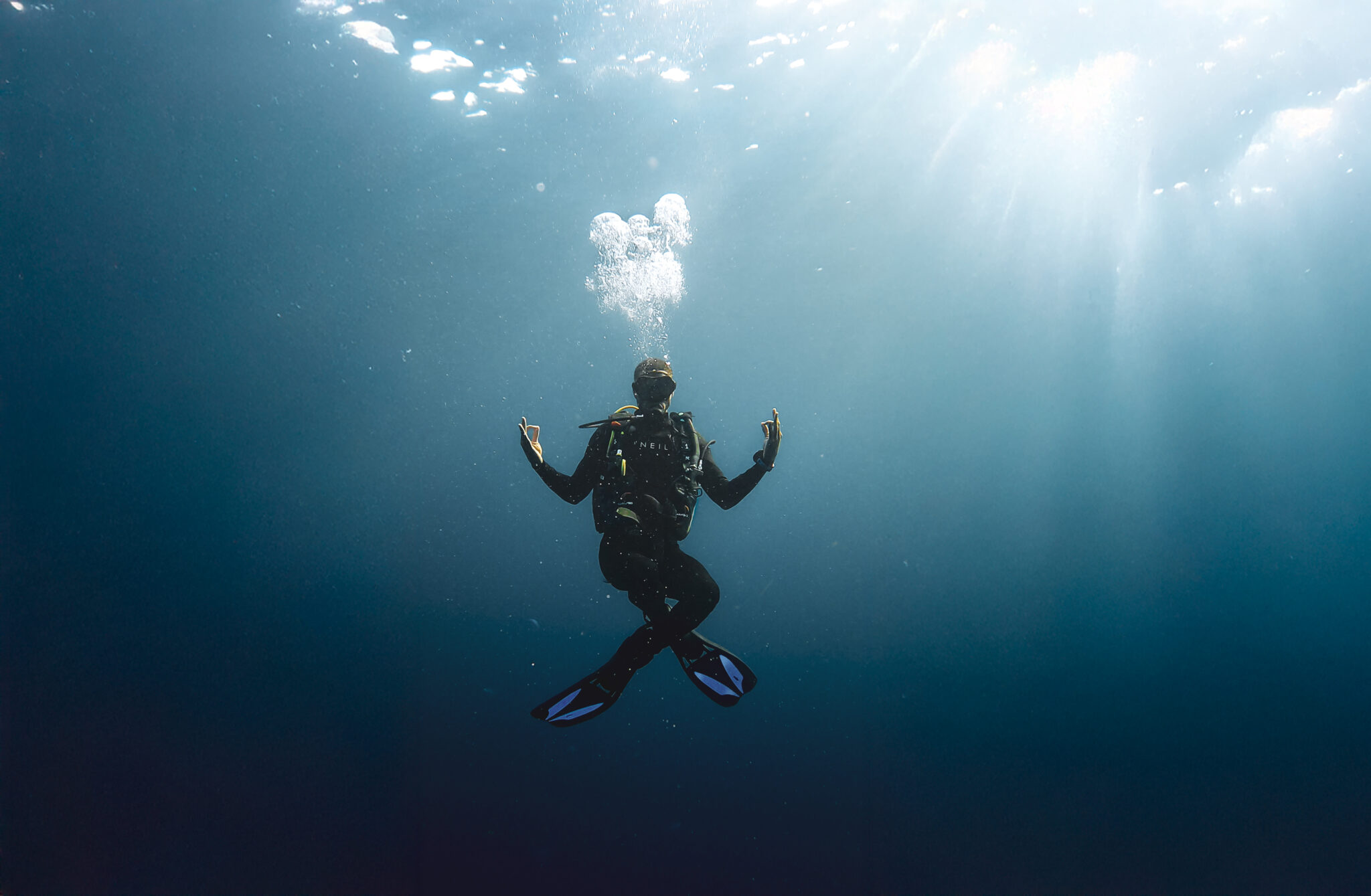 PADI AmbassaDiver Barrington Scott underwater