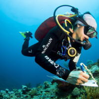 A man writes notes about what he sees underwater while scuba diving