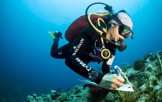 A man writes notes about what he sees underwater while scuba diving