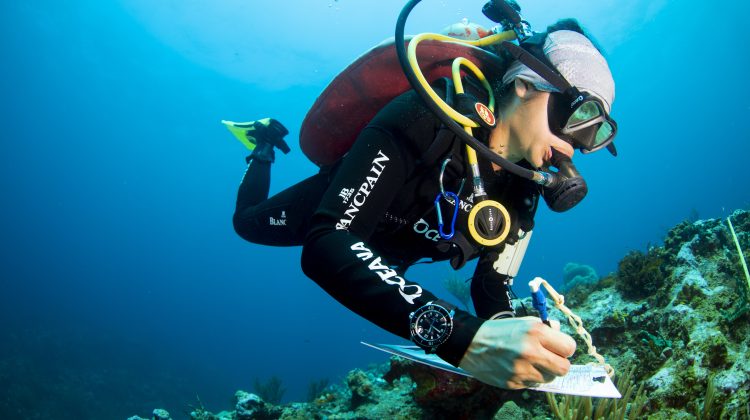 A man writes notes about what he sees underwater while scuba diving