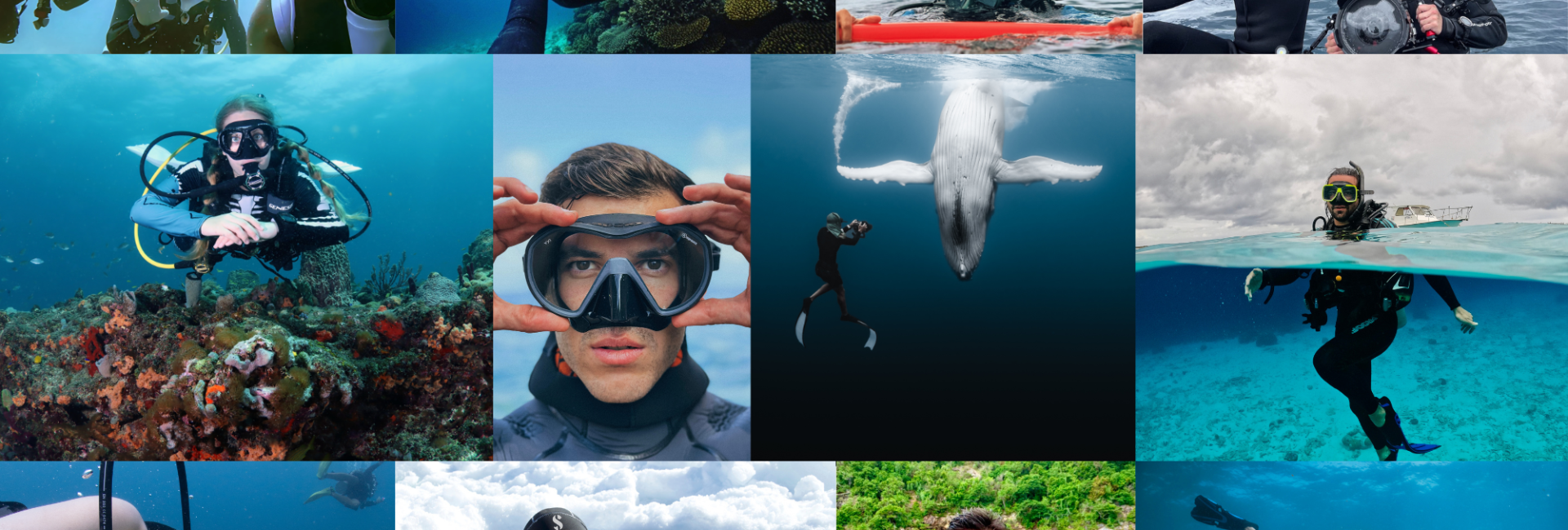 Presentación de los nuevos PADI AmbassaDivers 2025