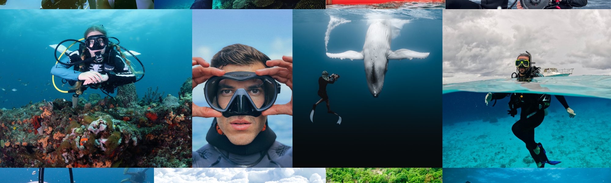 Maak kennis met de nieuwe  PADI AmbassaDivers van 2025