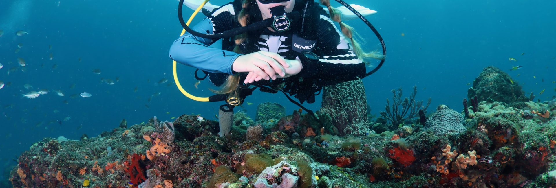 2026年PADI AmbassaDiver™になろう！