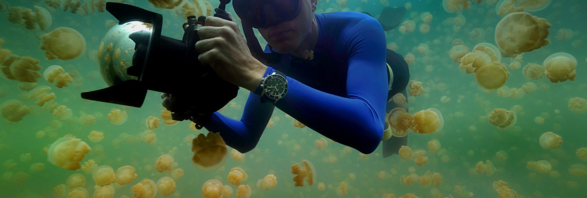 PADI 潛水中心和度假村助力研究：海洋保護區的恢復將為沿海經濟注入數十億美元