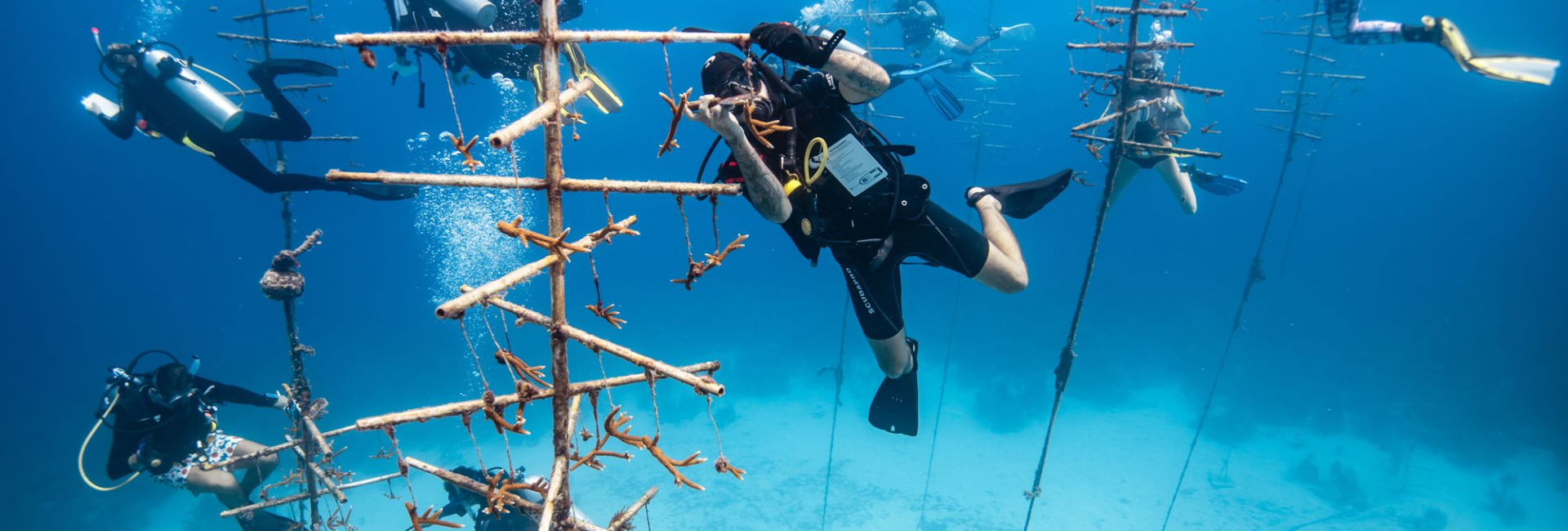 Ocean Conservation Activities in Honduras