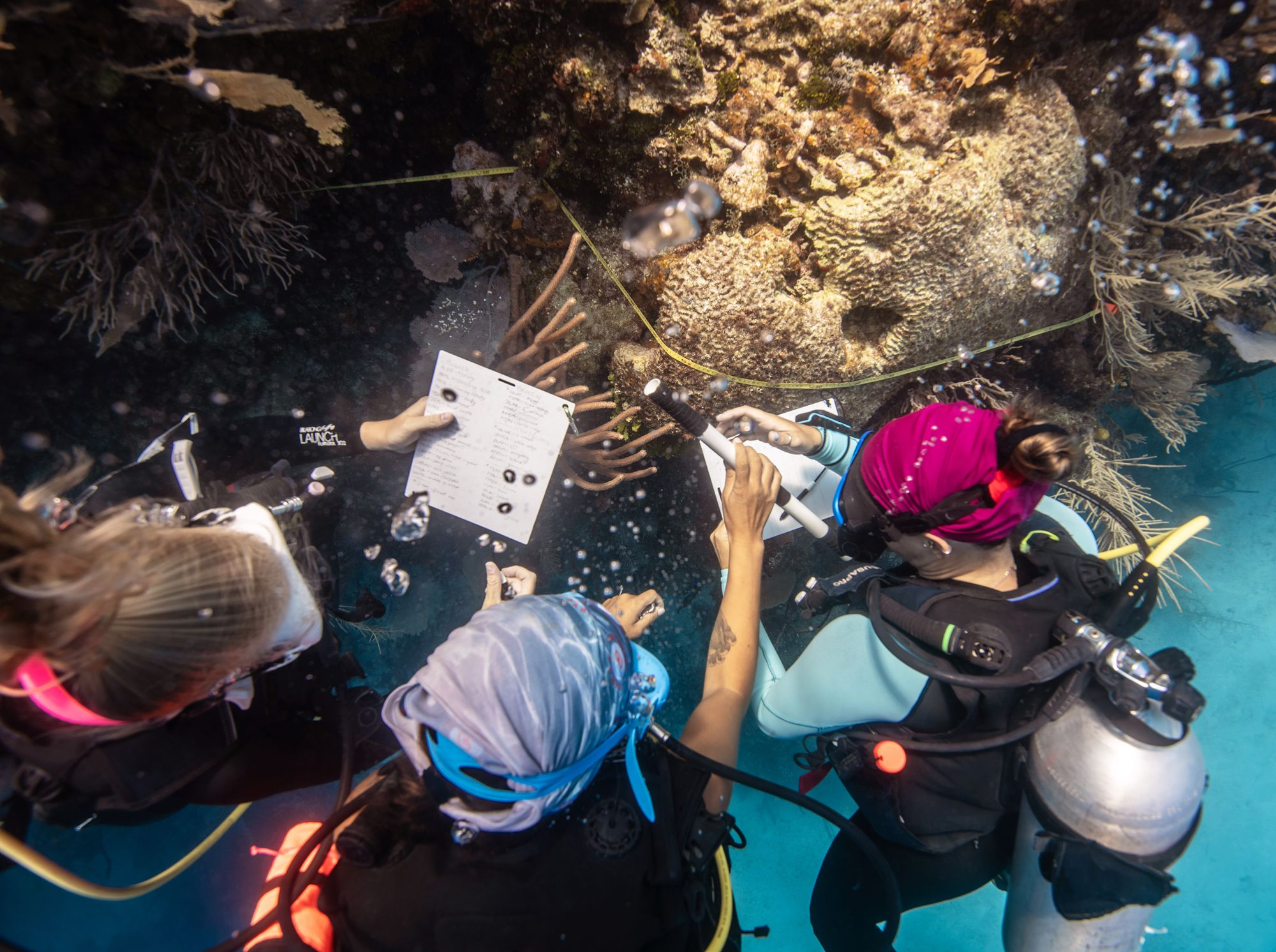 Three divers, two holding slates, evaluate coral and collect data