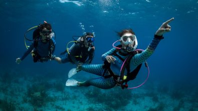 Professional diver leading divers underwater