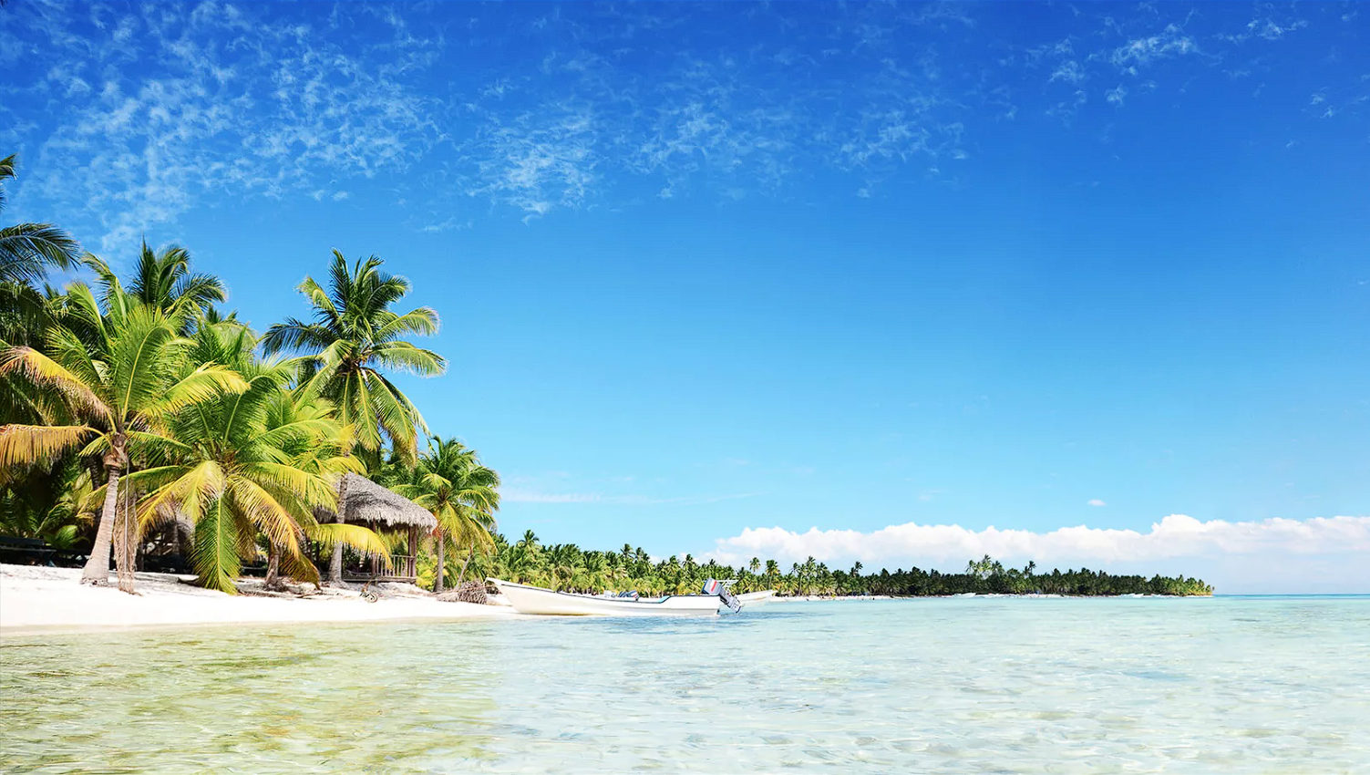 A beach in the Dominican Republic lined with palm trees. A small motor boat sits on the shore.