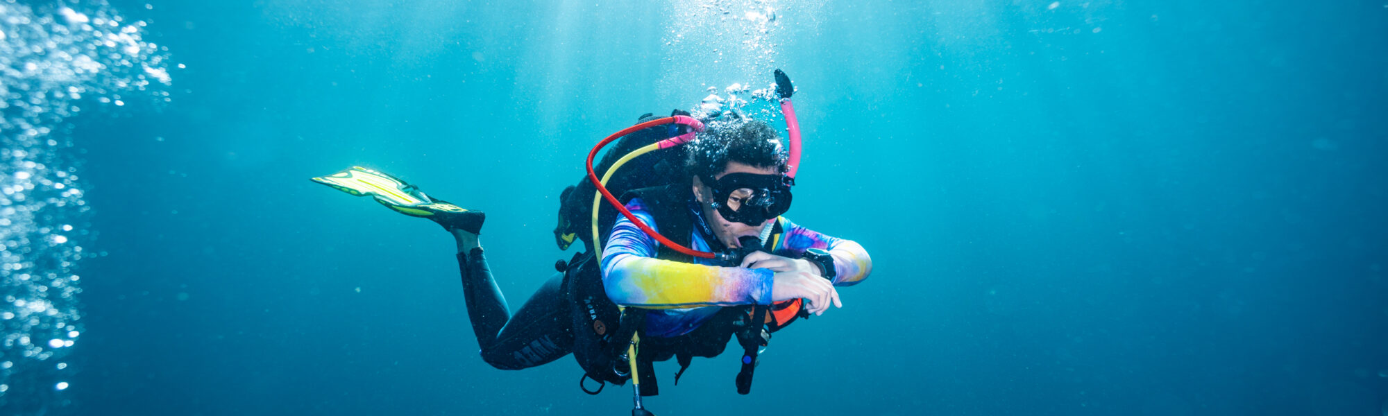 Become a PADI Pro: Join our Event at the Two Oceans Aquarium!