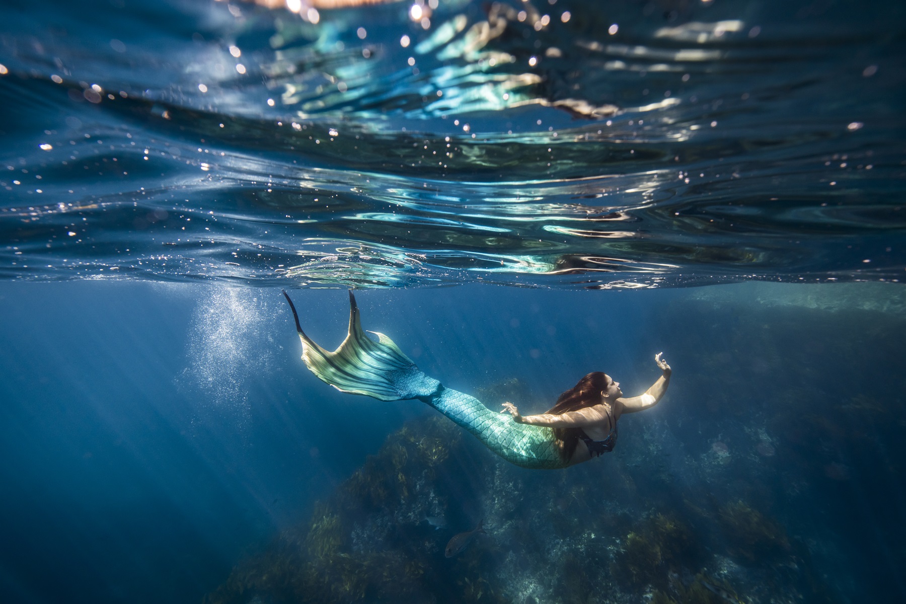 A mythical mermaid swimming underwater, whose folklore names can create some unique ocean girl names or water names for boys