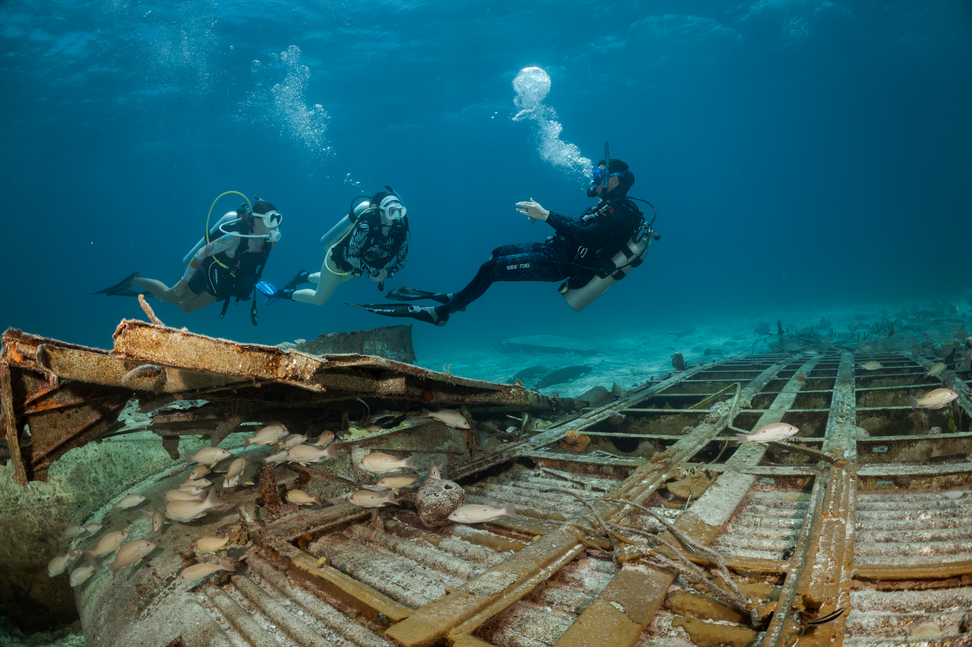 Condurre un'immersione su un relitto Un candidato PADI Divemasters conduce un'immersione su un relitto mentre si esercita a guidare altri subacquei, una delle abilità chiave del divemaster.
