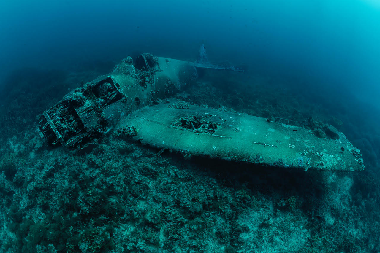An airplane wreck in the Solomon Islands