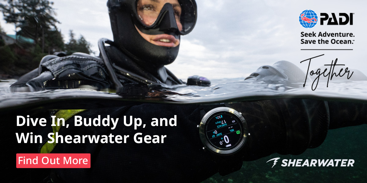 Shearwater Refer a Friend Challenge banner showing a dive computer and a diver on the surface