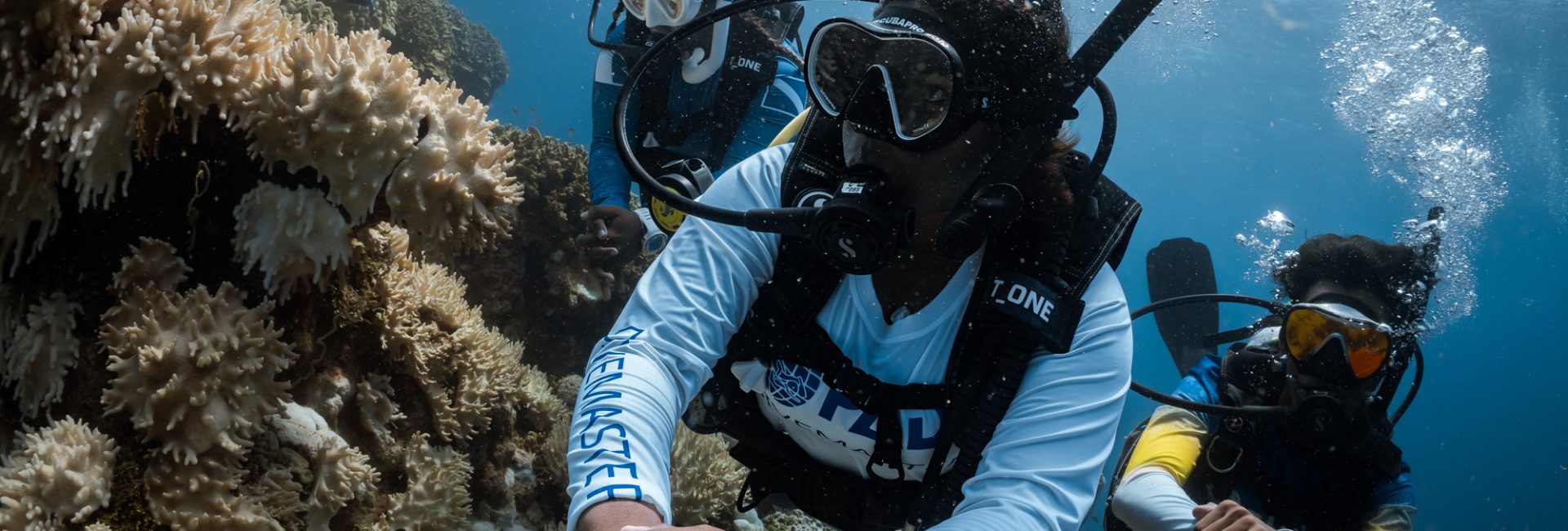 Готовы ли вы к курсу Divemaster?