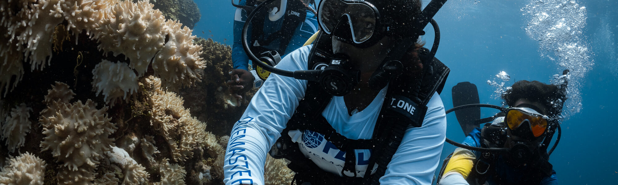 여러분은 Divemaster 코스를 수강할 준비가 되셨나요 ?