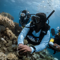A PADI Divemaster leads two divers on a scuba dive in the Maldives