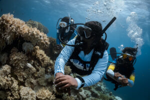 A PADI Divemaster leads two divers on a scuba dive in the Mal