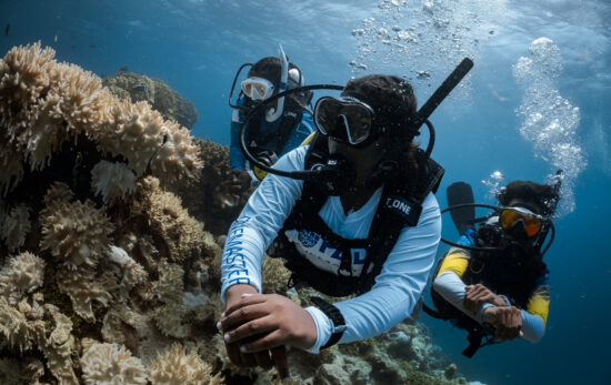 A PADI Divemaster leads two divers on a scuba dive in the Maldives