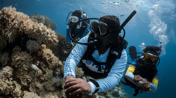 A PADI Divemaster leads two divers on a scuba dive in the Mal