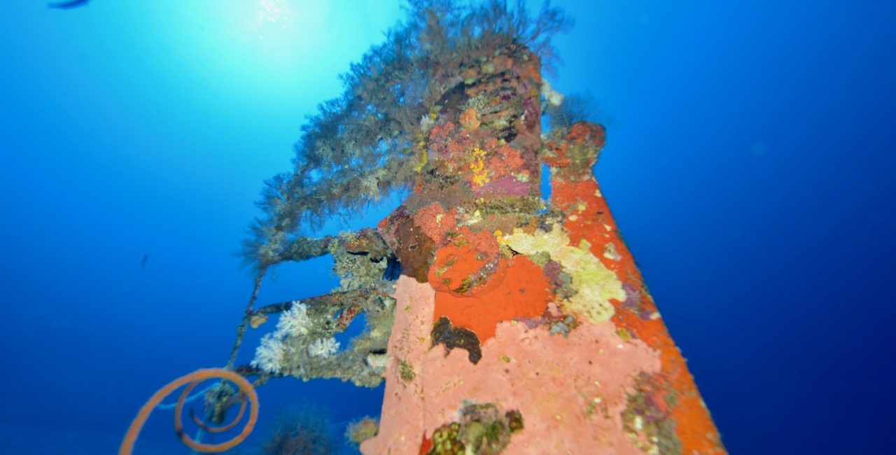 Discover the Hidden Gem of the Solomon Islands: Diving in Munda