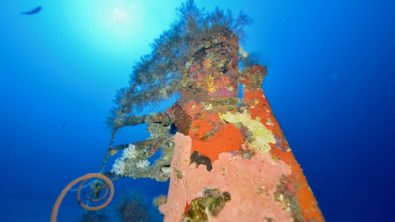 an underwater piling with coral growth in the Solomon Islands