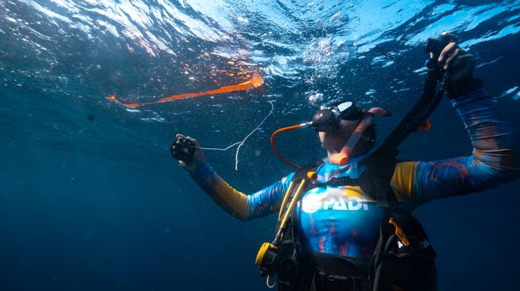 a PADI Diver nears the surface after a scuba dive