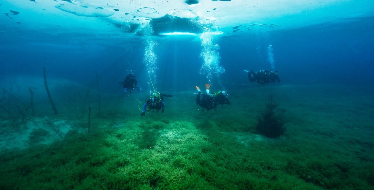 11 destinations de plongée totalement uniques que vous voudrez ajouter à votre liste, selon le personnel PADI