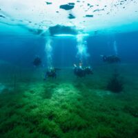 a group of divers goes ice diving in Austria